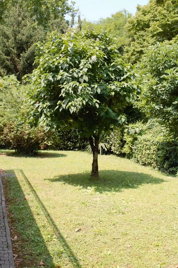 Appartamento Le Magnolie Mestre Italia